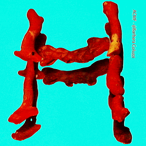 Alfabeto di corallo rosso - H