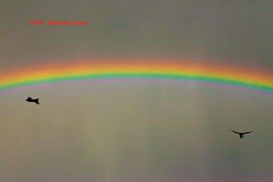Cielo - Sky