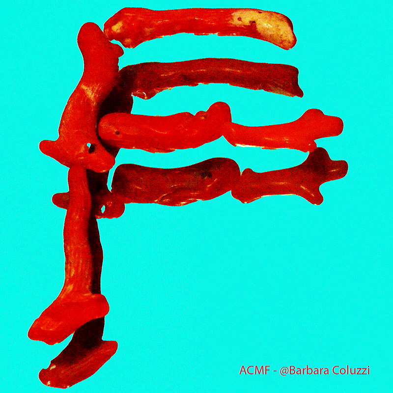 Alfabeto di corallo rosso - F